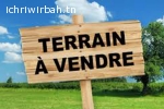 Terrain la poste T780