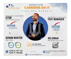 Devenir un Testeur logiciel Professionnelle