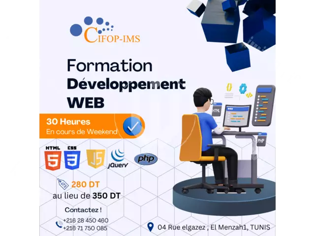 Formation Développeur Web - 1